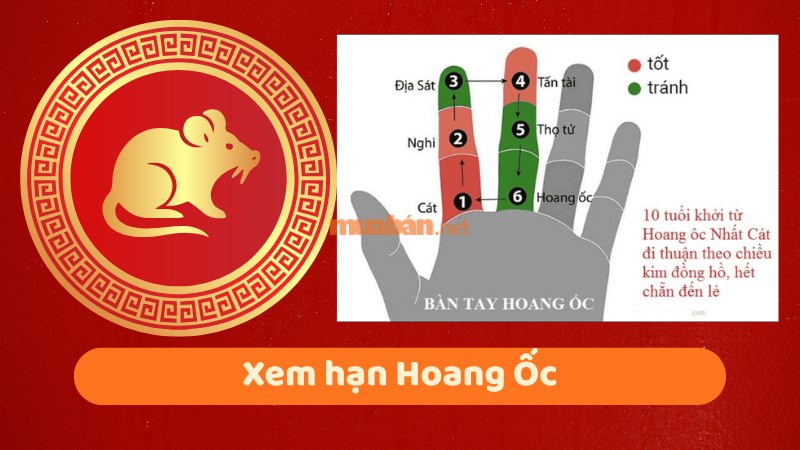 Tuổi 1984 làm nhà năm 2026: Ngày đẹp, lưu ý và cách hóa giải Xem hạn Hoang Ốc cho Giáp Tý 1984