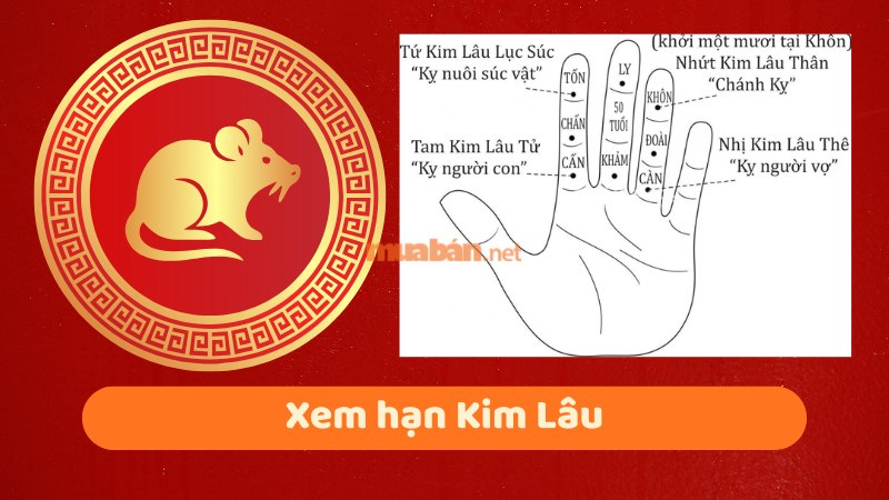 Tuổi 1984 làm nhà năm 2026: Ngày đẹp, lưu ý và cách hóa giải Xem hạn Kim Lâu cho Giáp Tý 1984