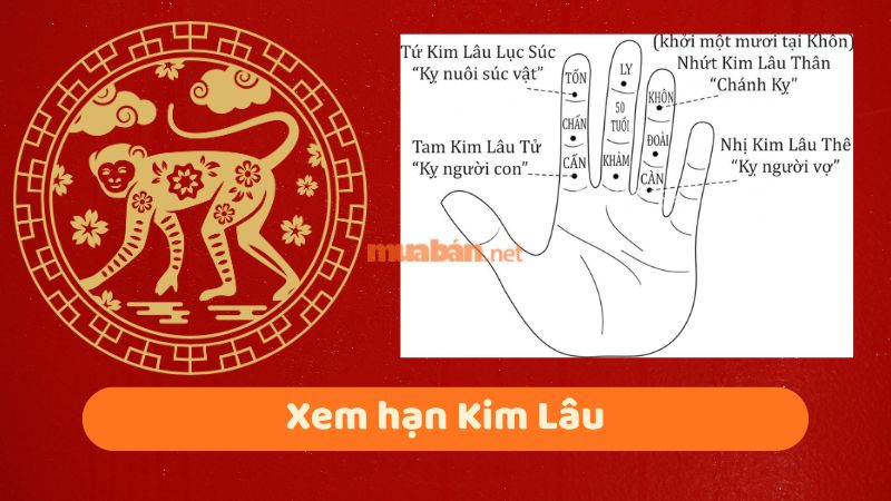 Tuổi 1980 làm nhà năm 2026: Ngày đẹp, lưu ý và cách hóa giải Xem hạn Kim Lâu cho gia chủ tuổi Canh Thân 1980
