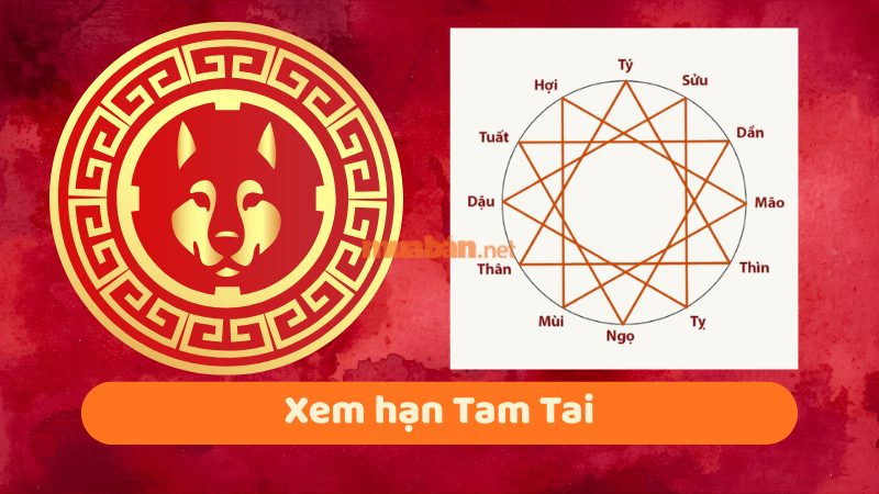 Tuổi 1994 làm nhà năm 2026: Ngày đẹp, lưu ý và cách hóa giải Xem hạn Tam Tai cho gia chủ tuổi Giáp Tuất 1994