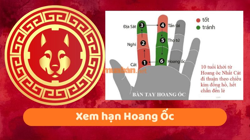 Tuổi 1994 làm nhà năm 2026: Ngày đẹp, lưu ý và cách hóa giải Xem hạn Hoang Ốc cho gia chủ tuổi Giáp Tuất 1994