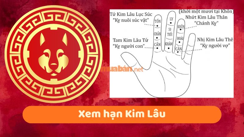 Tuổi 1994 làm nhà năm 2026: Ngày đẹp, lưu ý và cách hóa giải Xem hạn Kim Lâu cho gia chủ tuổi Giáp Tuất 1994
