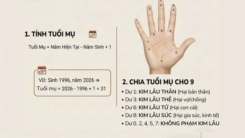 Tuổi 1991 làm nhà năm 2026: Ngày đẹp, lưu ý và cách hóa giải Cách tính tuổi Kim Lâu cho gia chủ tuổi Tân Mùi 1991 làm nhà năm 2026 (Nguồn: TC Home)