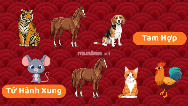 Tuổi đẹp làm nhà năm 2026 mang lại may mắn, tài lộc Nhóm tuổi Tam hợp và Tứ hành xung trong năm Bính Ngọ 2026