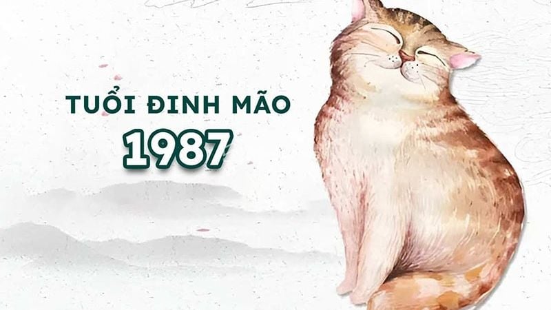 Tuổi 1987 làm nhà năm 2026: Ngày đẹp, lưu ý và cách hóa giải Tổng quan về tuổi Đinh Mão 1987