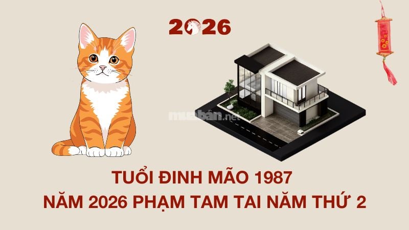 Tuổi 1987 làm nhà năm 2026: Ngày đẹp, lưu ý và cách hóa giải Tuổi Đinh Mão 1987 năm 2026 phạm tam tai năm thứ 2