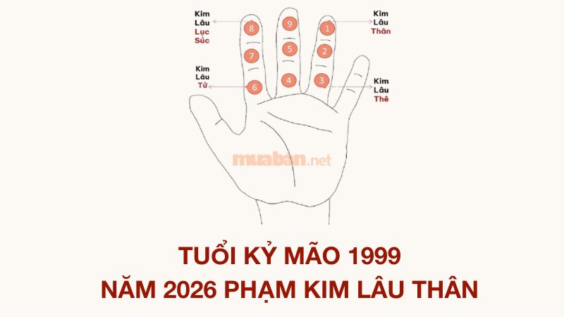 Tuổi 1999 làm nhà năm 2026: Ngày đẹp, lưu ý và cách hóa giải Tuổi Kỷ Mão 1999 năm 2026 phạm Kim Lâu Thân