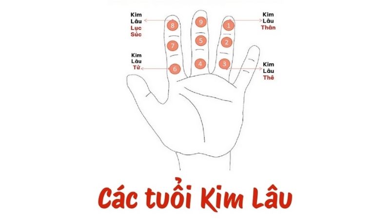 Tuổi 1986 làm nhà năm 2026: Ngày đẹp, lưu ý và cách hóa giải Cách tính hạn Kim Lâu