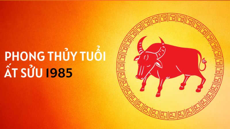 Tuổi 1985 làm nhà năm 2026: Ngày đẹp, lưu ý và cách hóa giải Tổng quan tử vi tuổi Ất Sửu 1985