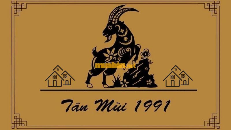 Tân Mùi 1991 hợp hướng nhà nào theo phong thủy? Tổng quan tử vi về tuổi Tân Mùi 1991