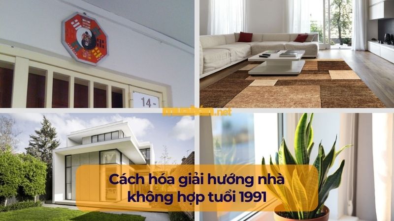 Tân Mùi 1991 hợp hướng nhà nào theo phong thủy? Các cách hóa giải hướng nhà không hợp tuổi 1991