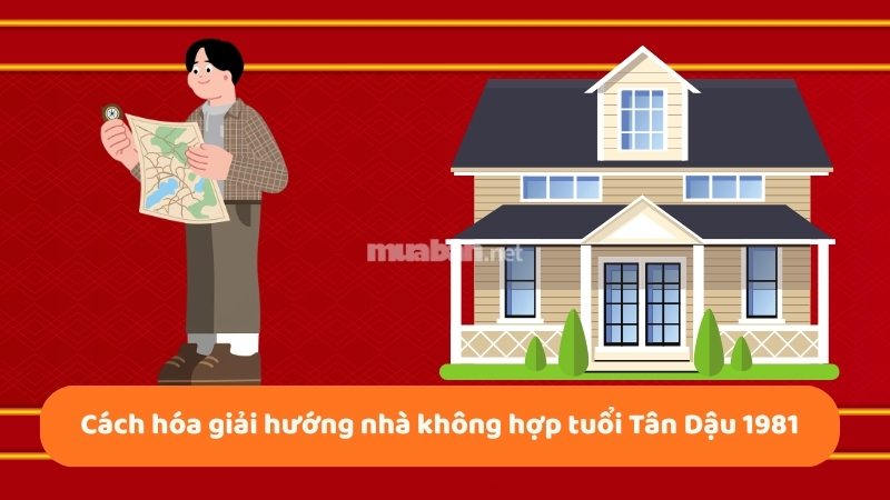 Tân Dậu 1981 hợp hướng nhà nào phát tài, phát lộc Cách hóa giải hướng nhà không hợp tuổi 1981
