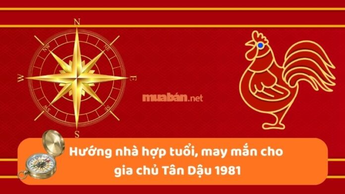 1981-hop-huong-nha-nao-1 Hướng nhà hợp tuổi, may mắn cho gia chủ Tân Dậu 1981