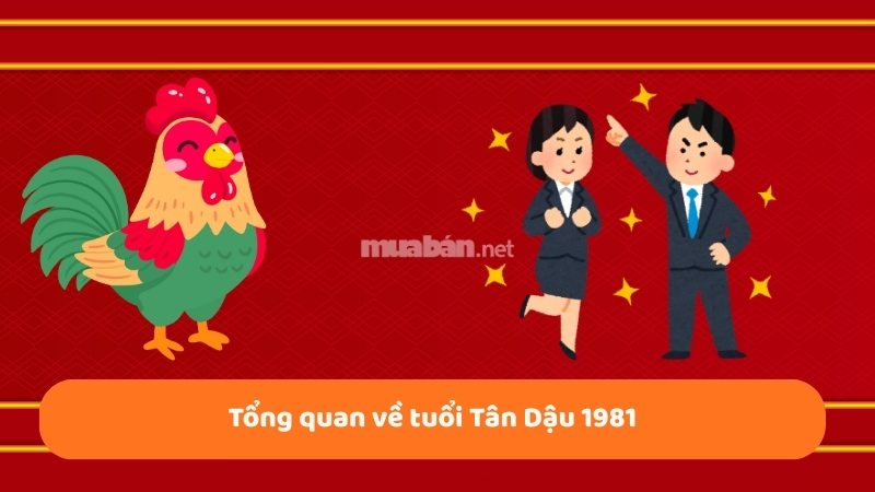 Tân Dậu 1981 hợp hướng nhà nào phát tài, phát lộc Tổng quan về tuổi Tân Dậu 1981