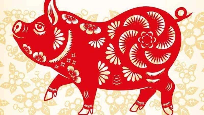 1995 hợp hướng nhà nào? Bật mí hướng hút tài lộc, tránh xui rủi Thông tin tổng quan về gia chủ Ất Hợi 1995 (Nguồn: Radanhadat)