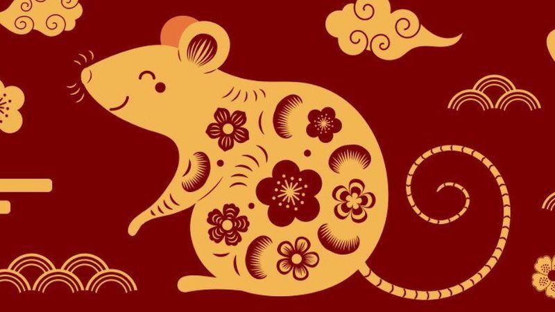 Hướng nhà hợp tuổi Bính Tý 1996 giúp gia chủ phát tài Tổng quan về tuổi Bính Tý 1996