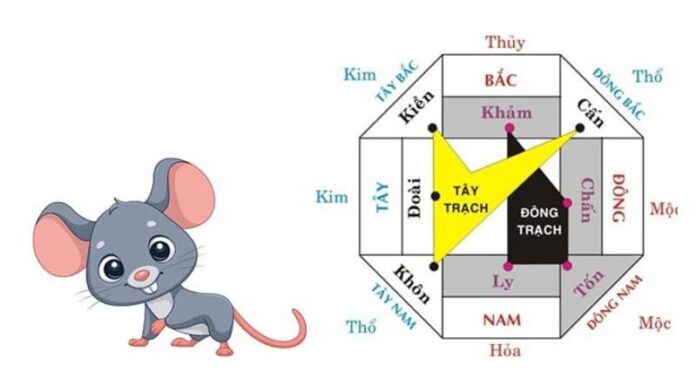 1996-hop-huong-nha-nao Hướng nhà hợp tuổi Bính Tý 1996 giúp gia chủ phát tài