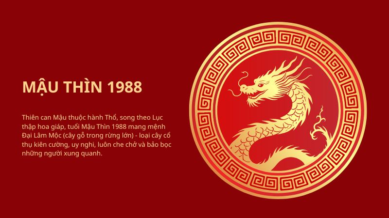 Tuổi Mậu Thìn 1988 hợp hướng nào theo phong thuỷ Bát Trạch Tổng quan về tuổi Mậu Thìn 1988