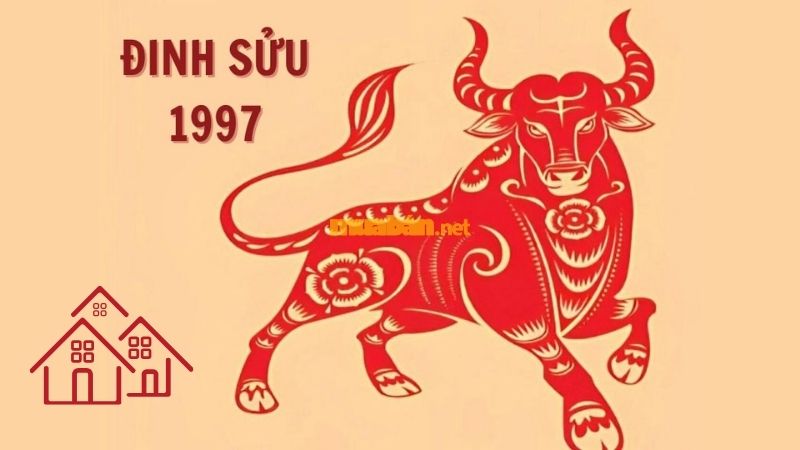 Hướng nhà hợp tuổi 1997 giúp thu hút tài lộc, tăng vượng khí Tổng quan tử vi về tuổi Đinh Sửu 1997