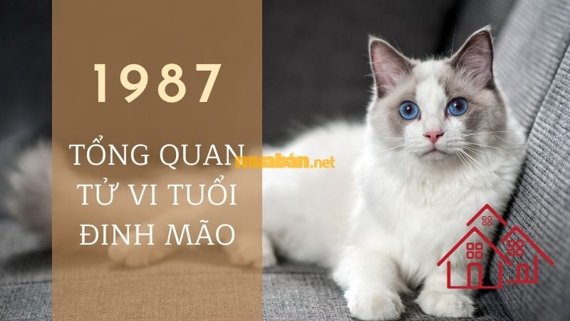 Gia chủ 1987 hợp hướng nhà nào chuẩn phong thuỷ Bát Trạch Tổng quan tử vi về tuổi Đinh Mão 1987