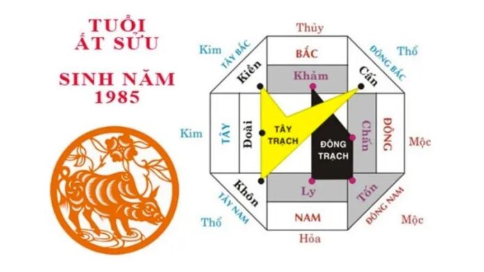 1985-hop-huong-nha-nao Hướng nhà hợp tuổi nam, nữ cho gia chủ Ất Sửu 1985