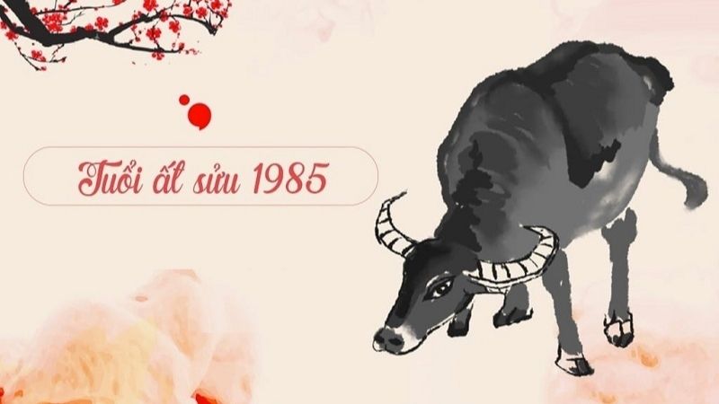 Xem hướng nhà hợp tuổi Ất Sửu 1985 theo phong thuỷ Bát Trạch Tổng quan về tuổi Ất Sửu 1985