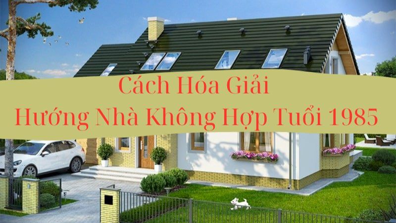 Xem hướng nhà hợp tuổi Ất Sửu 1985 theo phong thuỷ Bát Trạch Cách hóa giải hướng nhà không hợp tuổi 1985