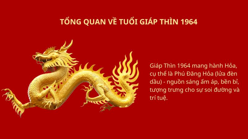 Giáp Thìn 1964 hợp hướng nhà nào theo phong thủy? Tổng quan về tuổi Giáp Thìn 1964