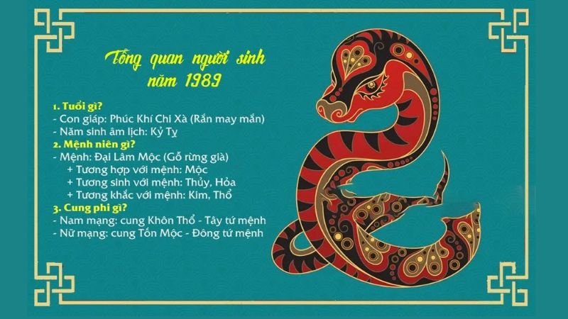 Các hướng nhà tuổi 1989 hợp phong thủy, tăng vượng khí Tổng quan về tuổi Kỷ Tỵ 1989