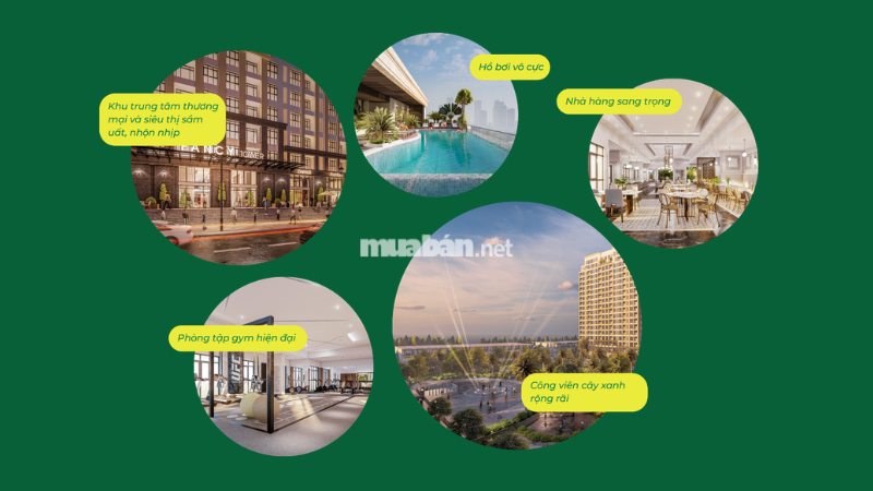 Đánh giá toàn diện khu đô thị Hưng Phú Bến Tre Tiện ích nội khu tại KĐT Hưng Phú được quy hoạch đồng bộ và hiện đại