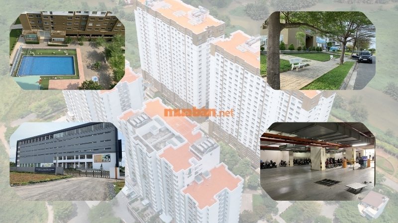 Khu đô thị Hạnh Phúc: Quy hoạch và tiềm năng gia tăng giá trị Một số tiện ích nội khu của dự án Happy City