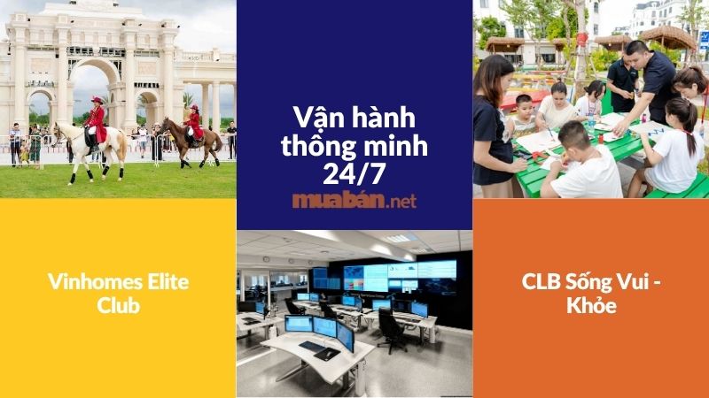 Top khu đô thị Vinhomes đáng sống và kinh nghiệm mua hiệu quả Một số đặc quyền chăm sóc trọn đời của cư dân Vinhomes