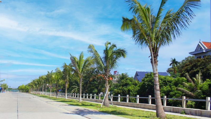 Khu đô thị sinh thái Thành Công: Đặc điểm dự án và tiềm năng Đường nội bộ rộng rãi, thoáng mát trong khu đô thị sinh thái Thành Công (Nguồn: Khudothithanhcong)