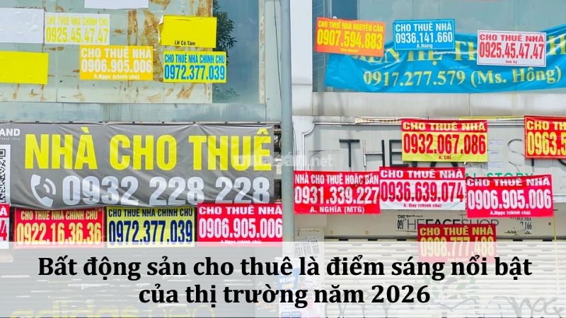 Thị trường bất động sản TP.HCM 2026 tập trung vào nhu cầu thực Thị trường cho thuê nhà đất TPHCM đang diễn ra rất sôi nổi