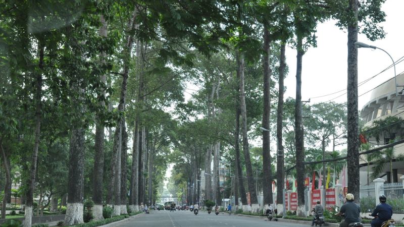 Kinh nghiệm thuê phòng trọ Quận 5 giá tốt, uy tín Hồng Bàng – An Dương Vương là khu vực có nhu cầu thuê phòng trọ cao tại Quận 5.