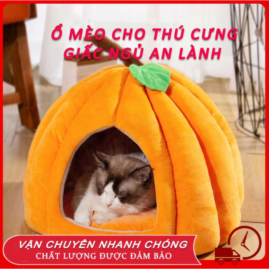 🎃Ổ m&egrave;o b&iacute; ng&ocirc; dễ thương giường ch&oacute; m&egrave;o ấm &aacute;p ổ m&egrave;o ổ đệm cho m&egrave;o nh&agrave; cho m&egrave;o gi&aacute; rẻ ổ đệm cho m&egrave;o giường m&egrave;o giường ổ