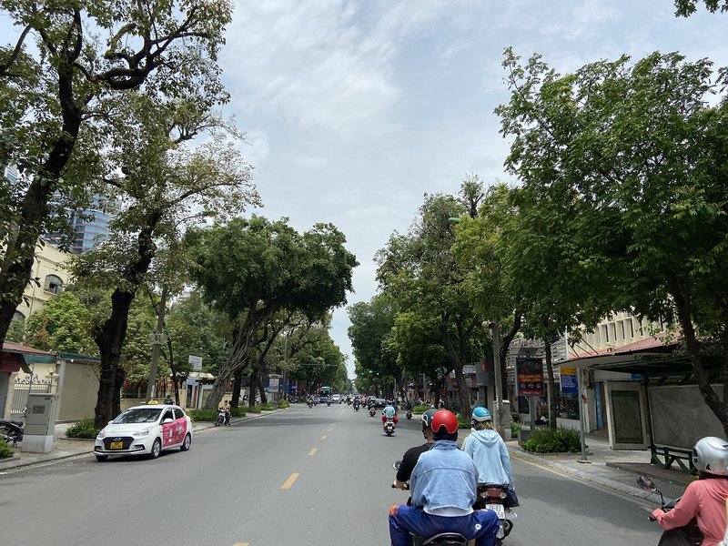 Bảng giá đất Hà Nội 2026 mới nhất: Cách tra 17 khu vực, 4 vị trí Phố Hai Bà Trưng ở Hà Nội, hai hàng cây lớn, xe máy và taxi trên đường