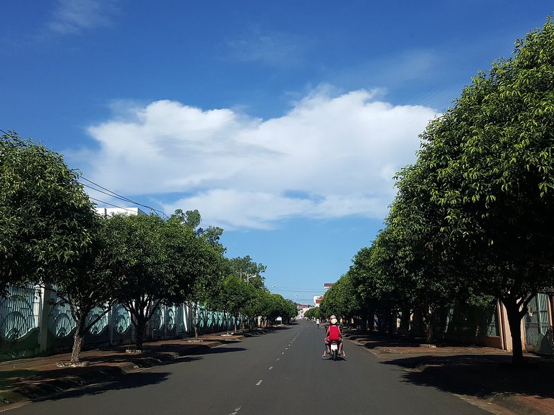 Bảng giá đất Đồng Nai 2026 mới nhất: Tải file và cách tra giá Đường Hùng Vương ở Long Khánh, hai bên là hàng cây xanh rợp bóng