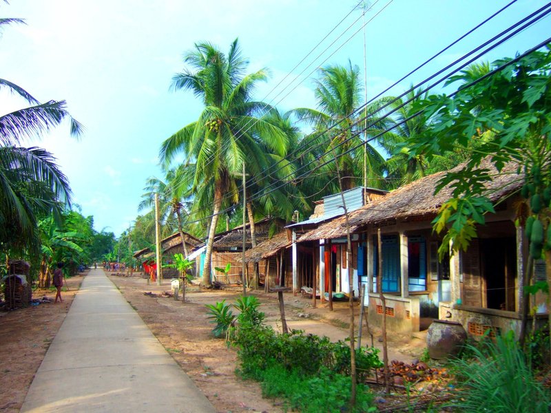 Bảng giá đất Cần Thơ 2026 mới nhất Con đường bê tông nông thôn ở Sóc Trăng, hai bên hàng dừa và nhà mái lá